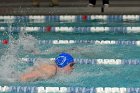 Women's Swimming & Diving  Wheaton College Women’s Swimming & Diving vs Mount Holyoke College. - Photo by Keith Nordstrom : Wheaton, Swimming & Diving